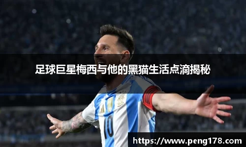 k1体育-十年品牌